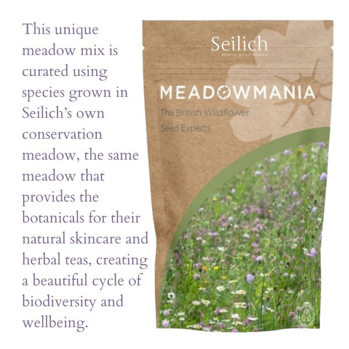 The Wildflower Ritual | Seilich X Meadowmania