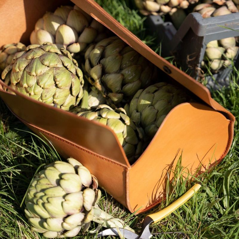 Artichokes in a brown leather Niwkai tool bag on grass