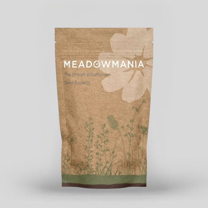 Sainfoin Wildflower Seed | Onobrychis viciifolia