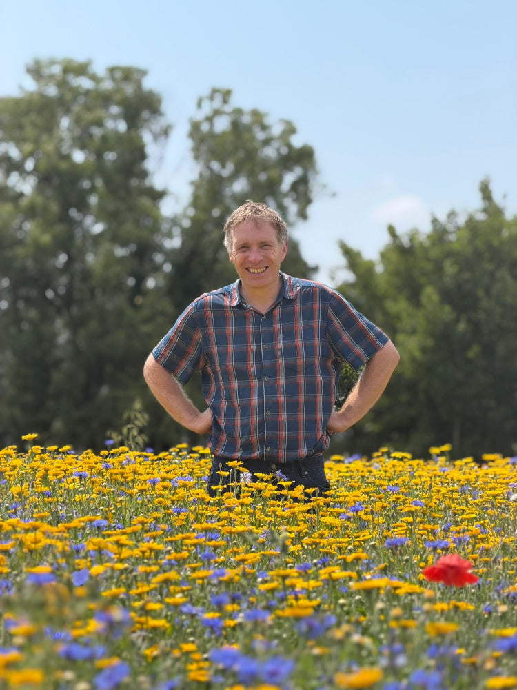 A smiling man standing in a field of yellow and purple flowers with green trees and a blue sky behind him, wearing a red and blue plaid short-sleeve button-up shirt.