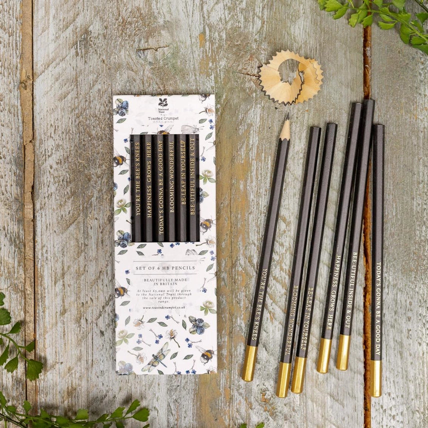 Wildflower Meadows Set of 6 Pencils