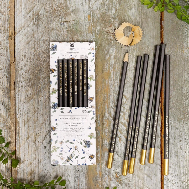 Wildflower Meadows Set of 6 Pencils