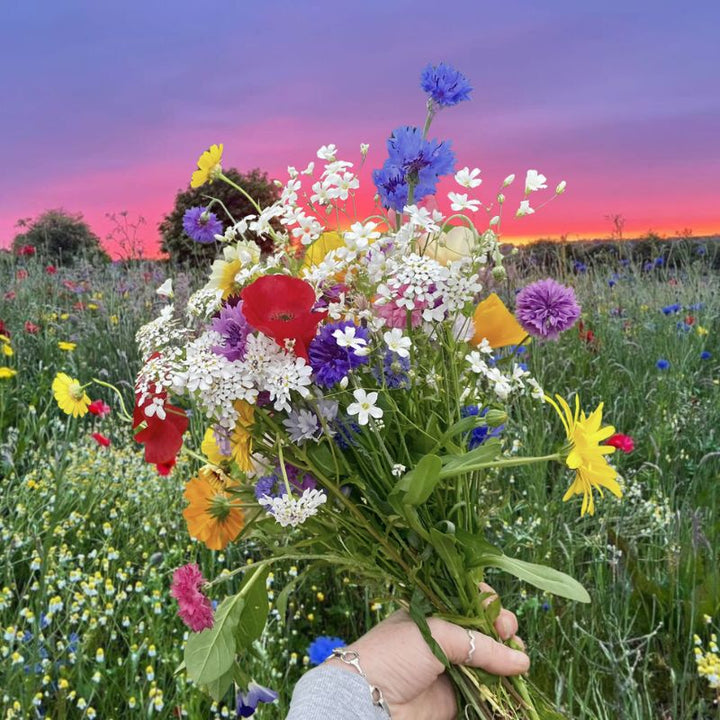Annual Cut Flower | Pick Your Own Mix