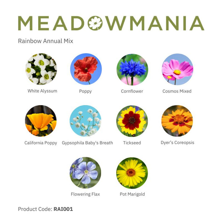 Rainbow Annual 100% Wildflower Seed Mix