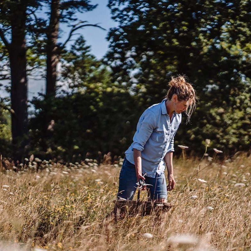 The Wildflower Ritual | Seilich X Meadowmania