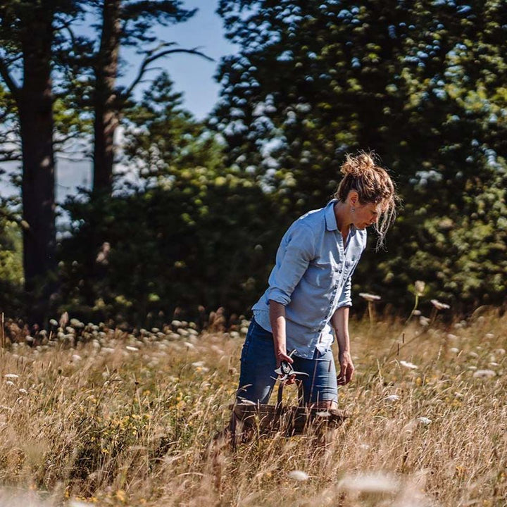 The Wildflower Ritual | Seilich X Meadowmania