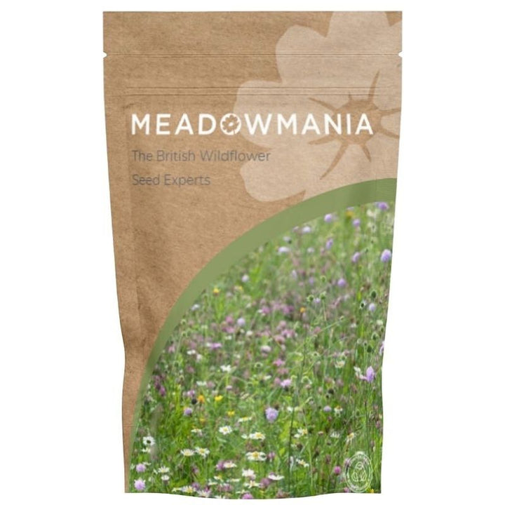 British Wildflowers for Lawns | 100% Wildflower Seed Mix
