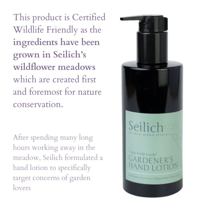 The Wildflower Ritual | Seilich X Meadowmania