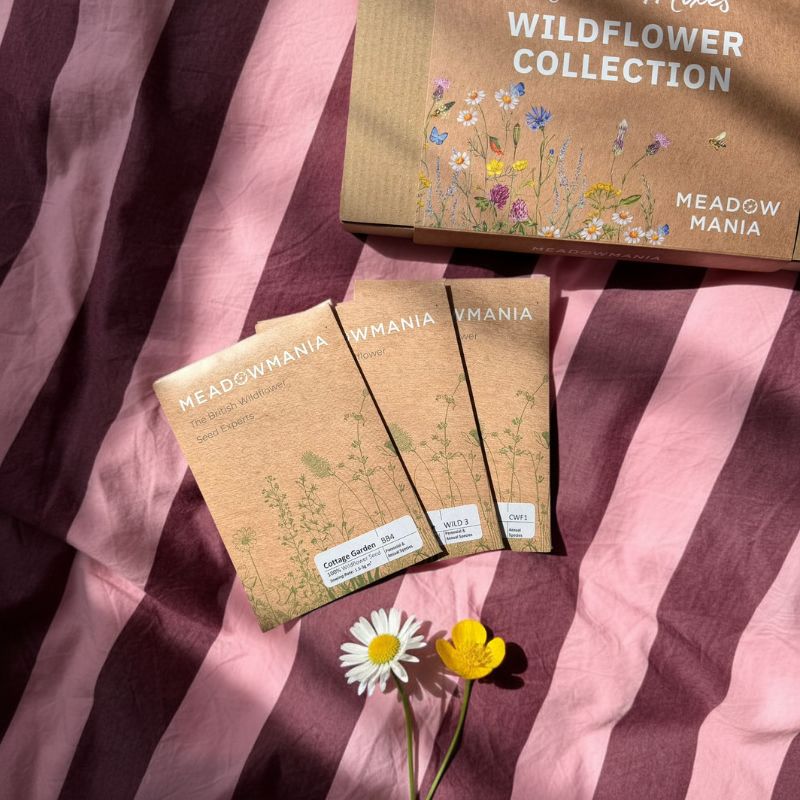 The Wildflower Collection | Native Mixes