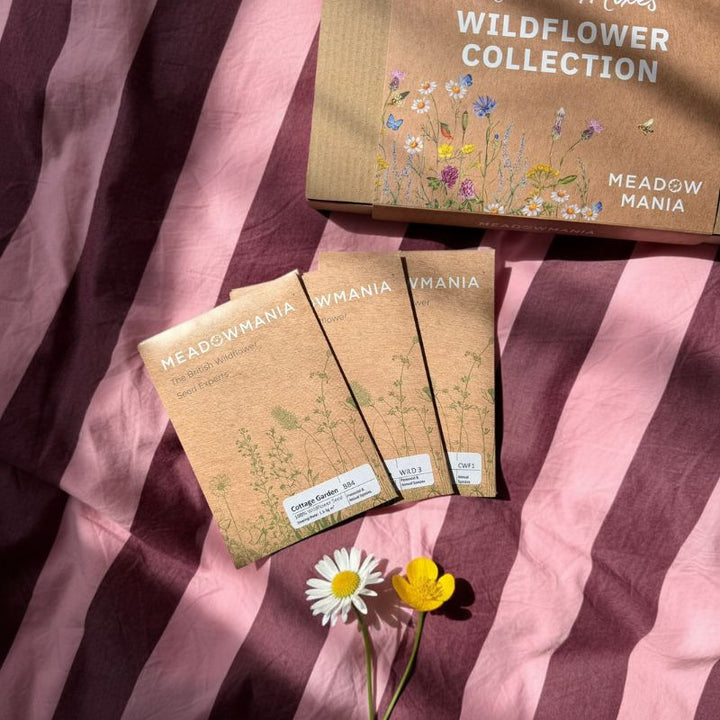 The Wildflower Collection | Native Mixes