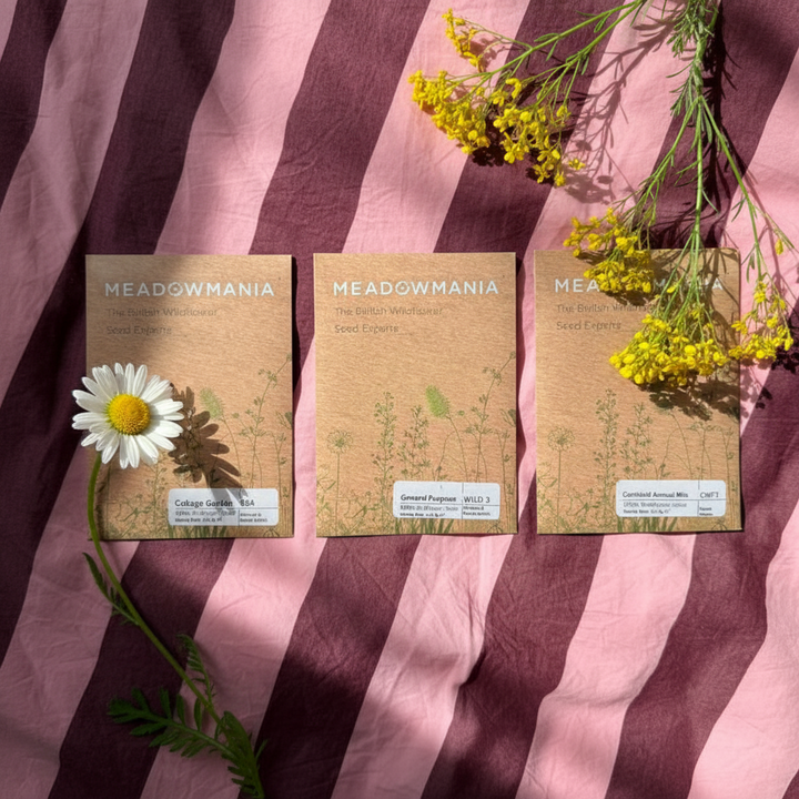The Wildflower Collection | Native Mixes