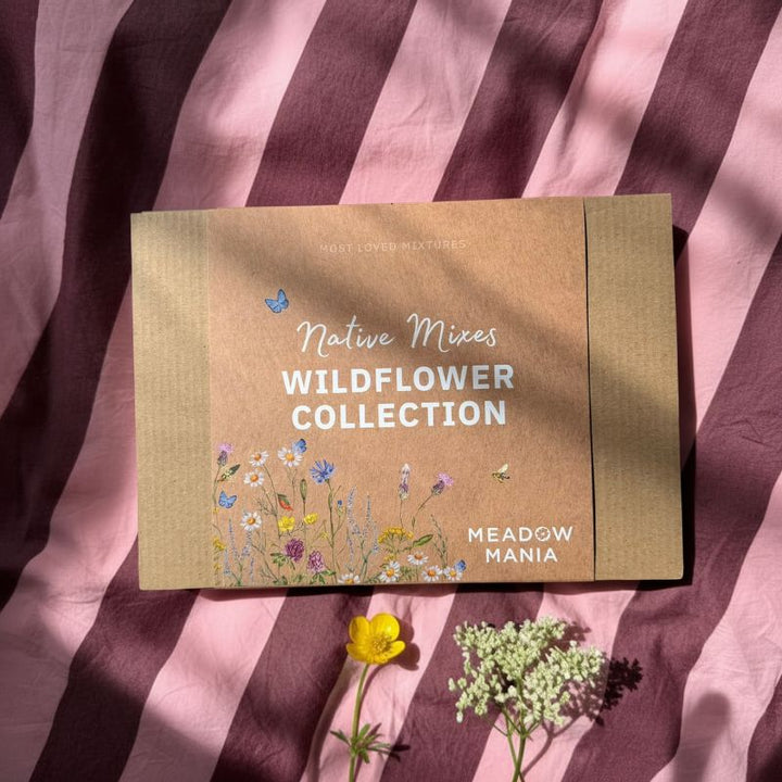 The Wildflower Collection | Native Mixes