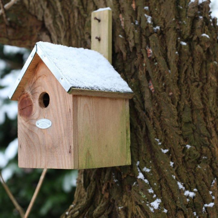 Blue Tit Bird House