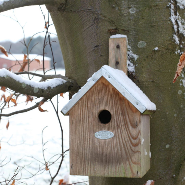 Blue Tit Bird House