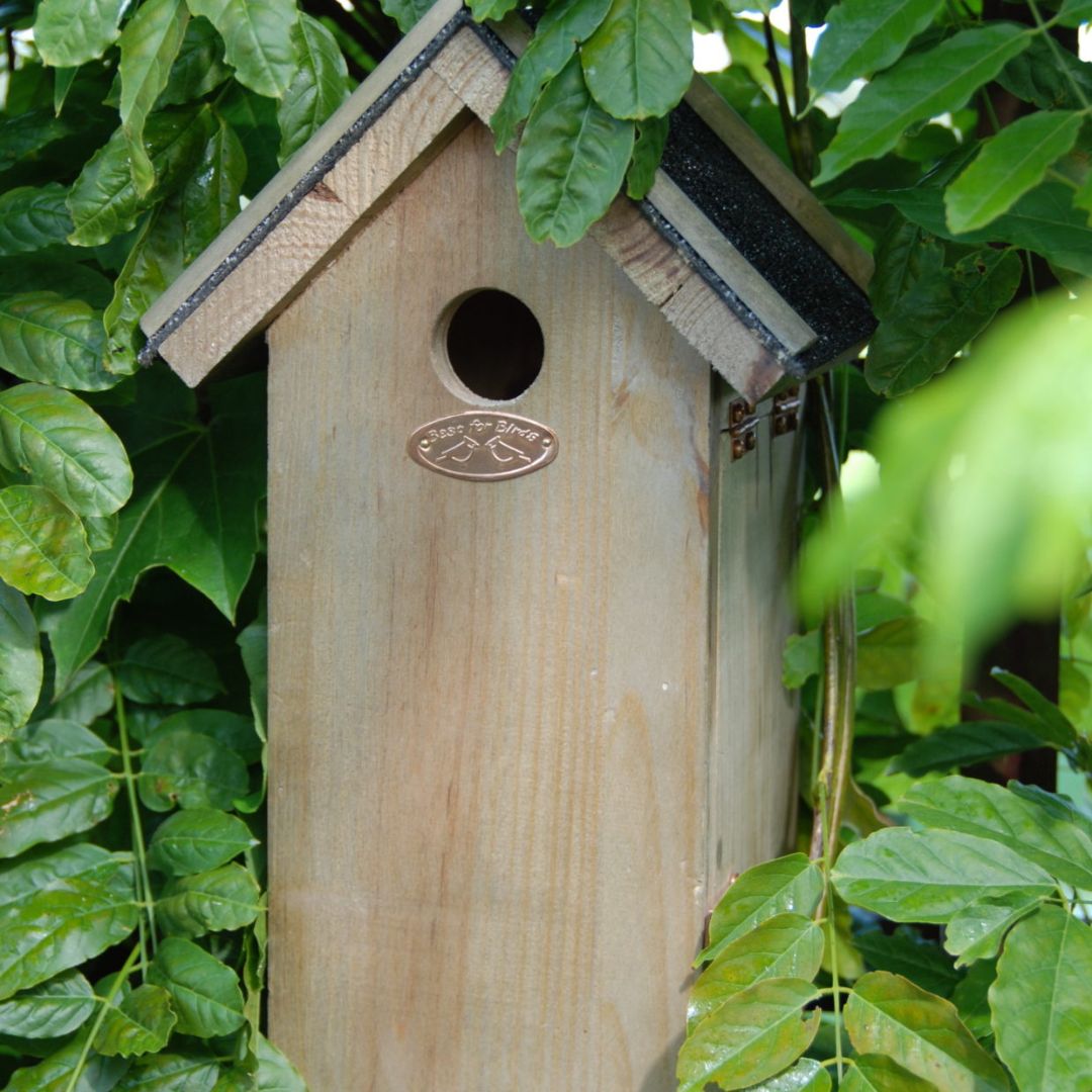 Great Tit Bird House