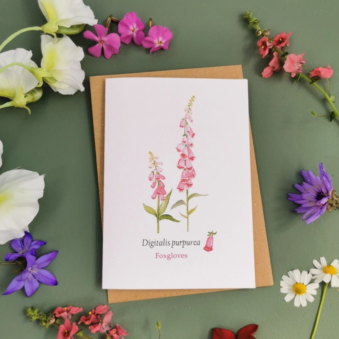 Greeting card with watercolour illustration of two pink foxgloves, writing reads 'Digitalis purpurea Foxgloves'