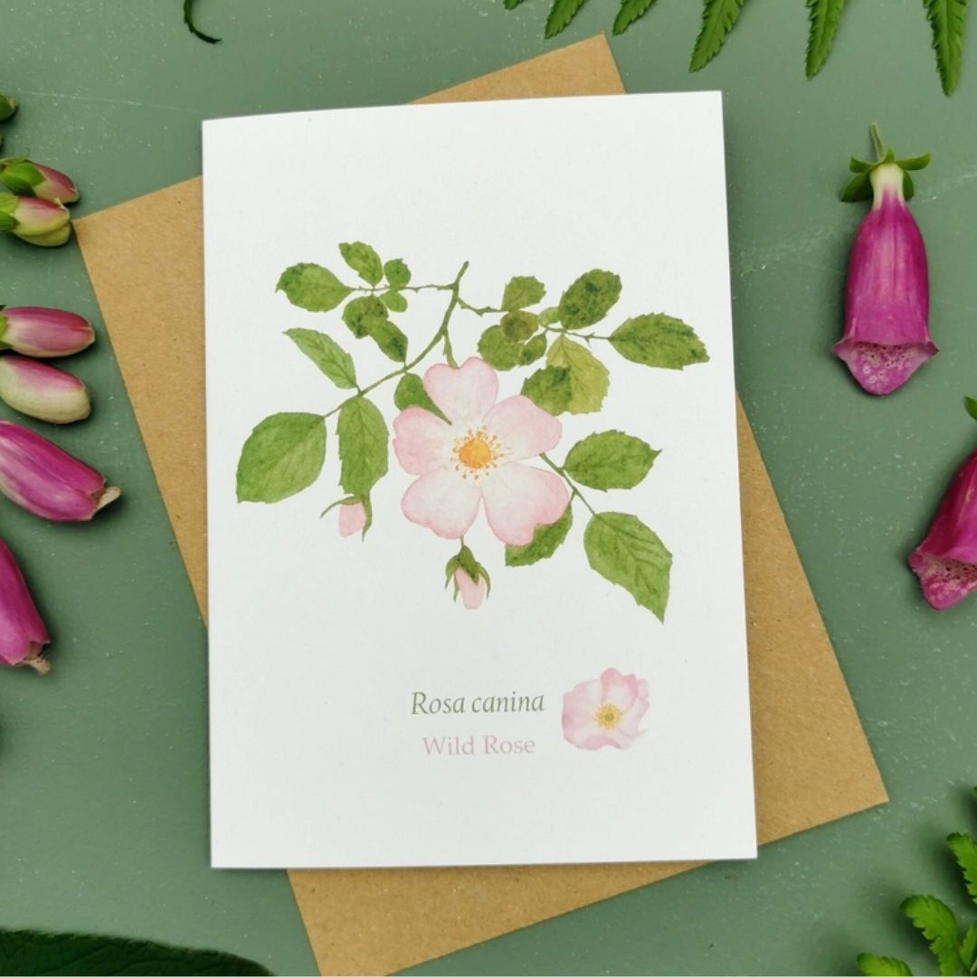 Wild Rose Greetings Card