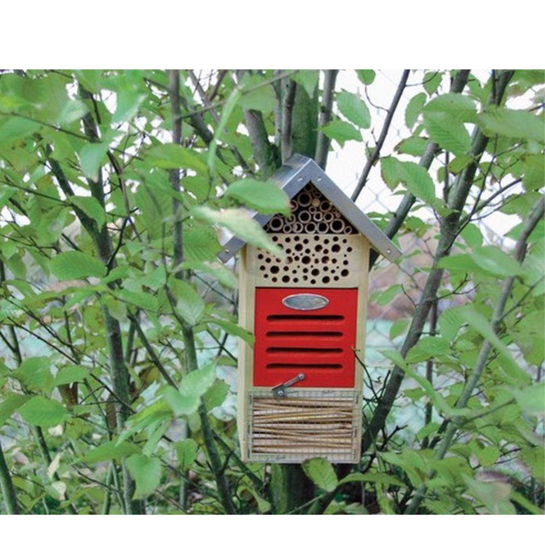 Insect Hotel