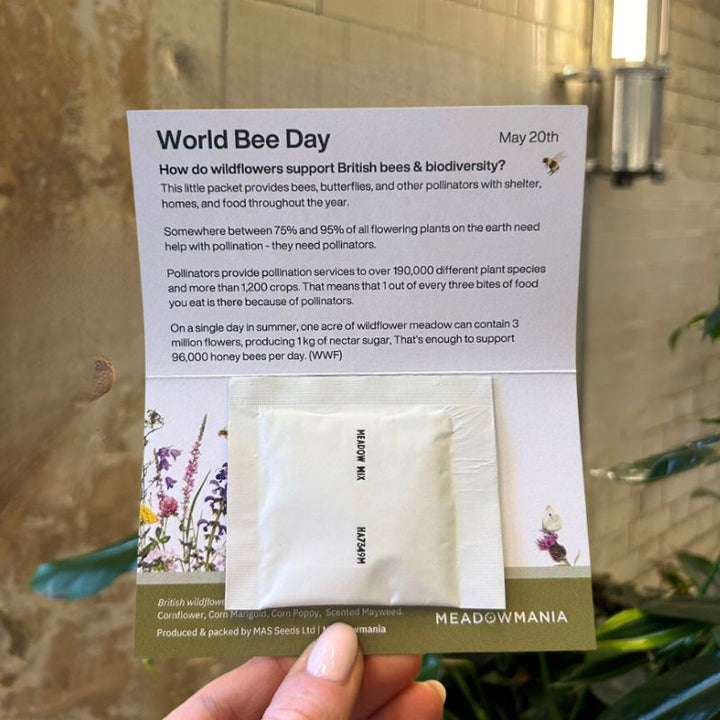 World Bee Day | Wildflower Seed Favour