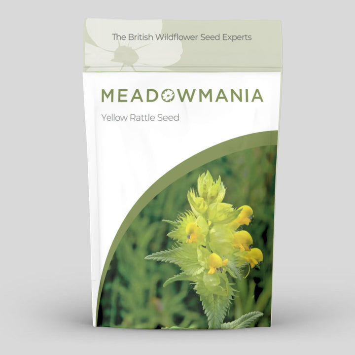 Yellow Rattle Seed (Rhinanthus Minor) | 2025 Harvest – Meadowmania UK