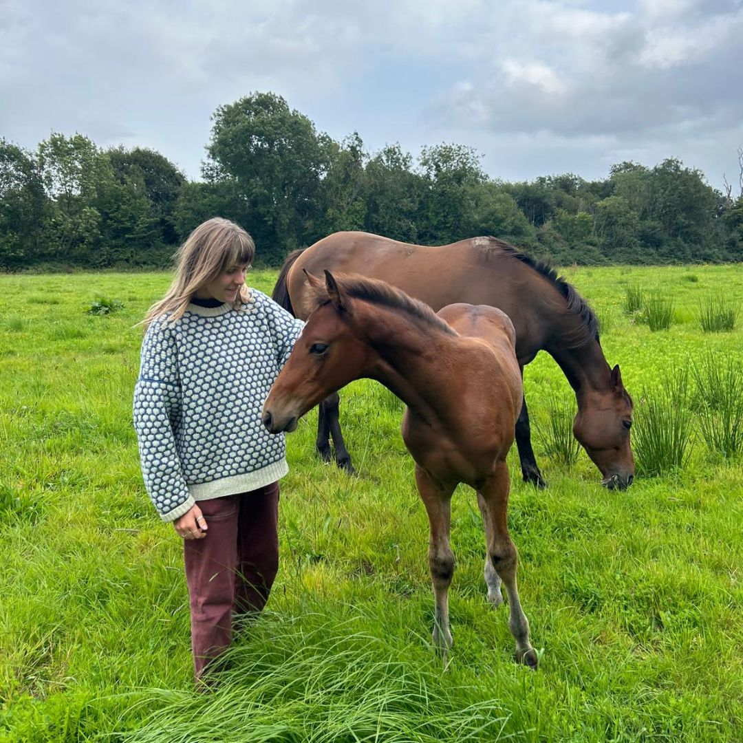 The Millie Mix - Ryegrass Free Paddock Seed – Meadowmania UK