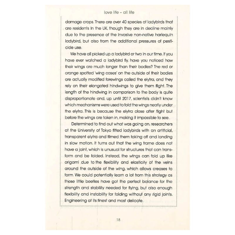 Back to Nature by Chris Packham and Megan McCubbin