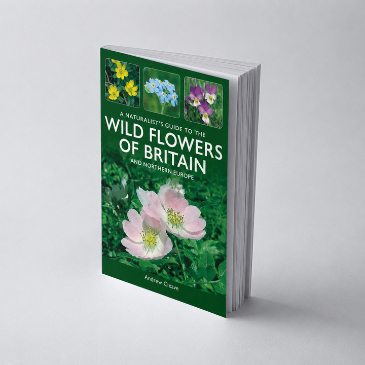 A Naturalist's Guide to Wildflowers