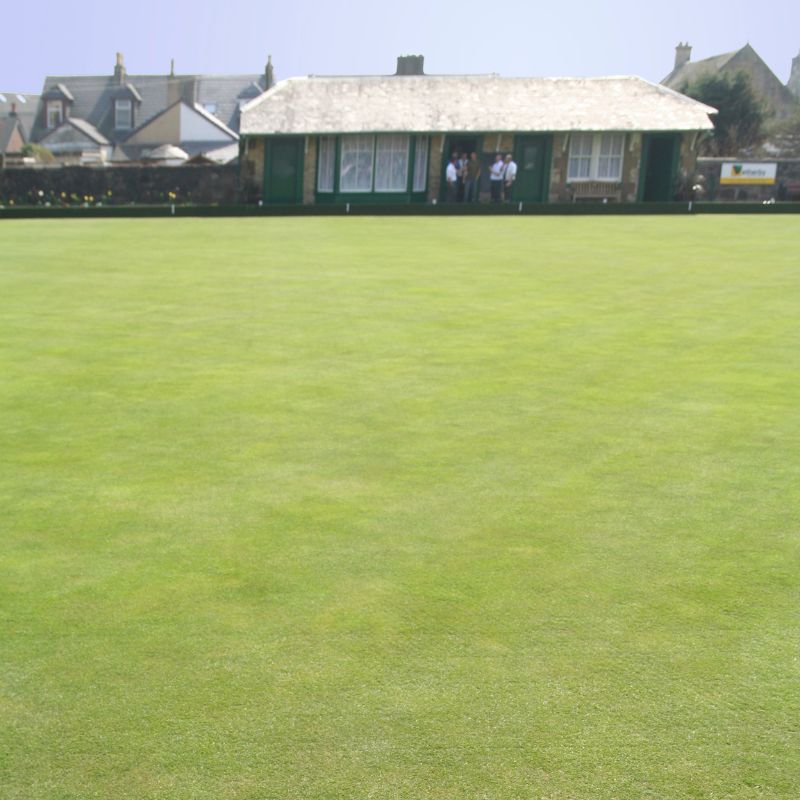 Grass Seed for Bowling Greens