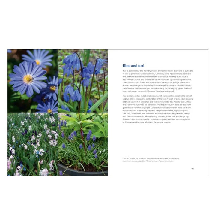 Growing Bulbs in the Natural Garden by Jacqueline van der Kloet