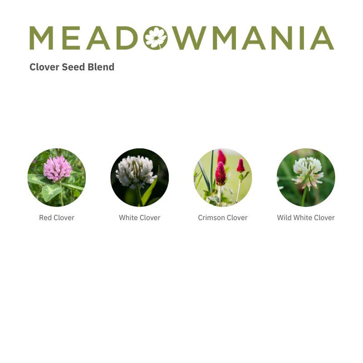 Clover Seed Blend