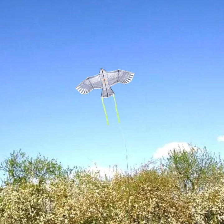 The hawk kite in flight above a tree line against a clear blue sky