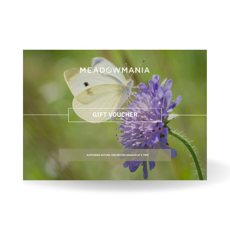 Meadowmania eGift Card