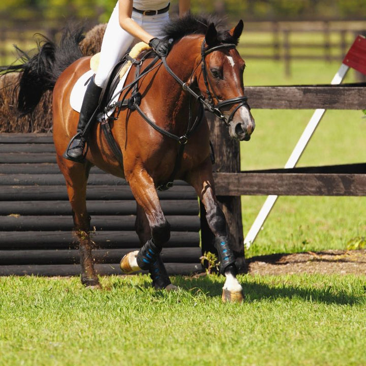 Grass Seed For Horse Gallops 20kg