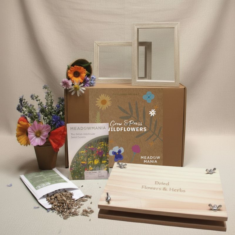 Wooden Wildflower Press Gift Box
