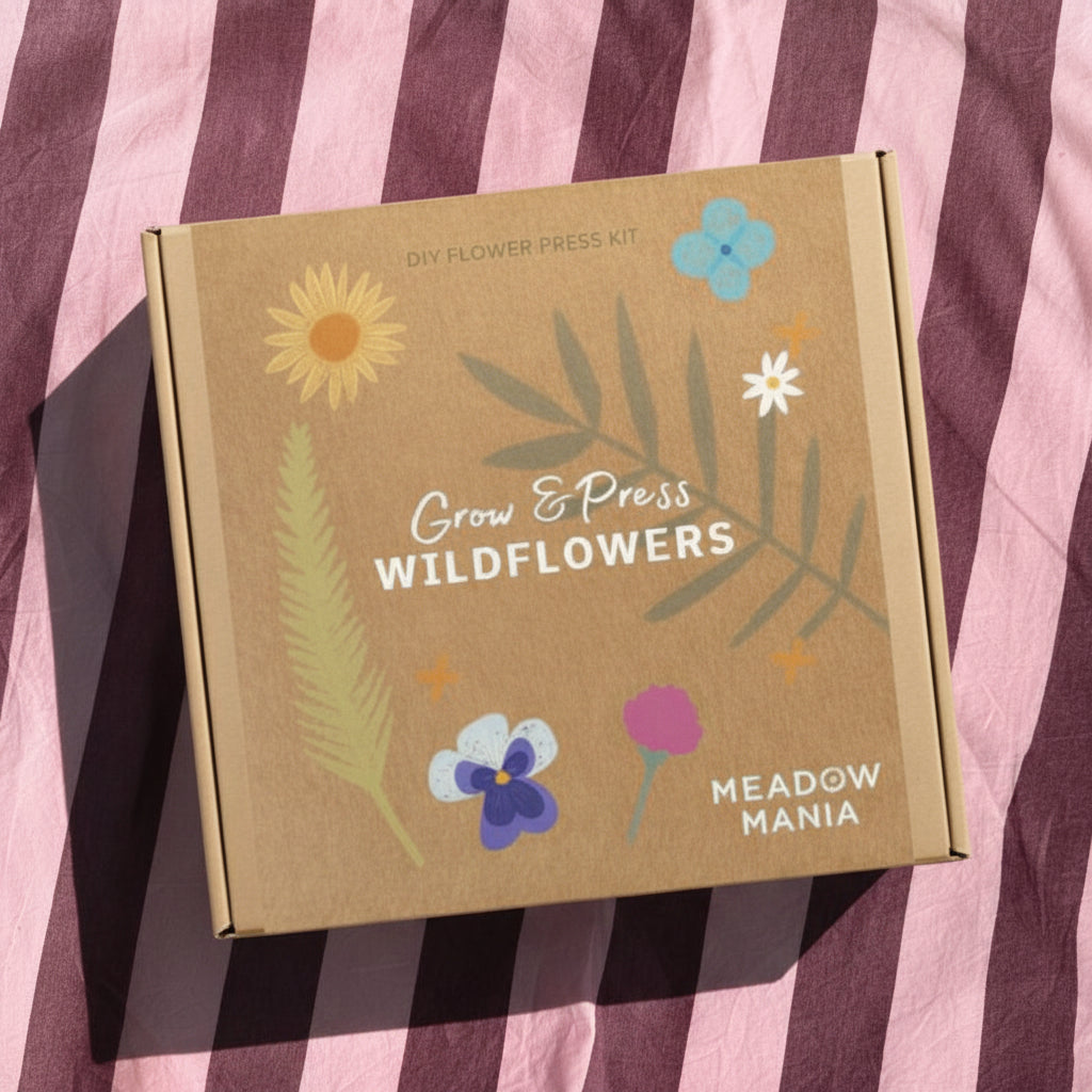 flower press gift box on a burgady and blush pink setting