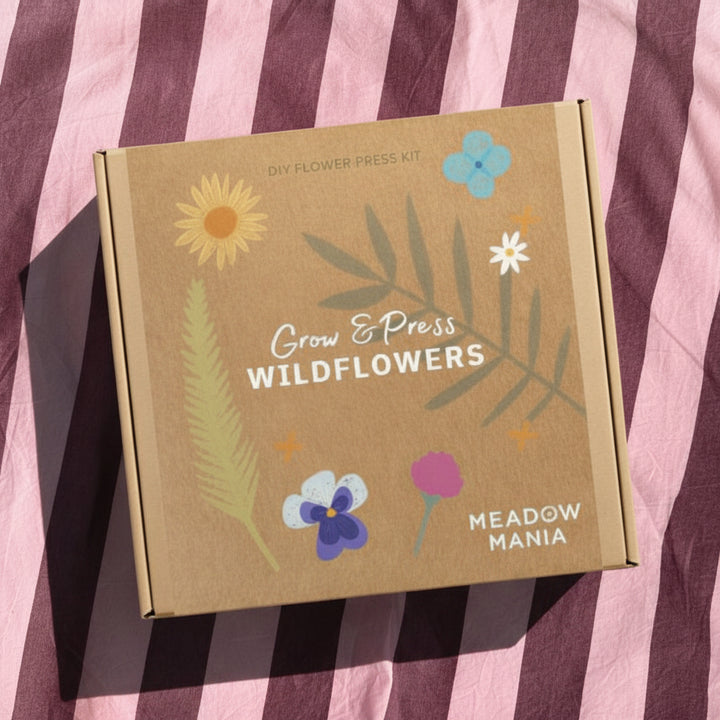 flower press gift box on a burgady and blush pink setting