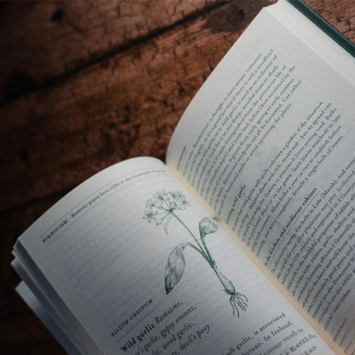 The Herb Almanac: A Seasonal Guide to Medicinal Plants by Chelsea Physic Garden