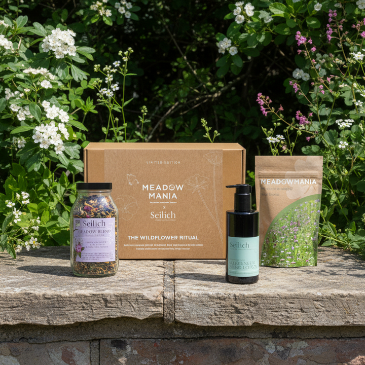 The Wildflower Ritual | Seilich X Meadowmania