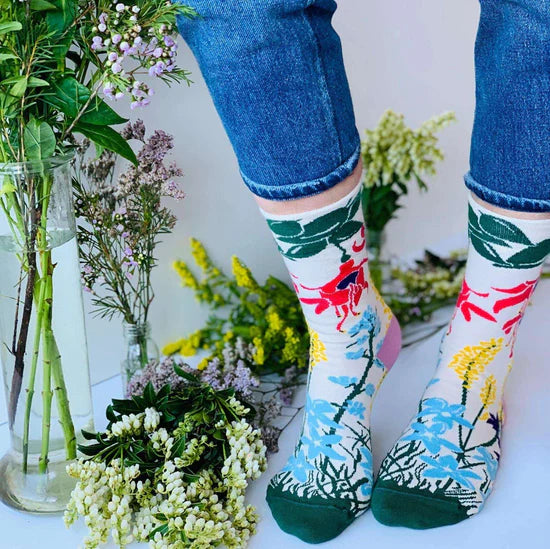 Wildflower-Themed Socks & Seeds Gift
