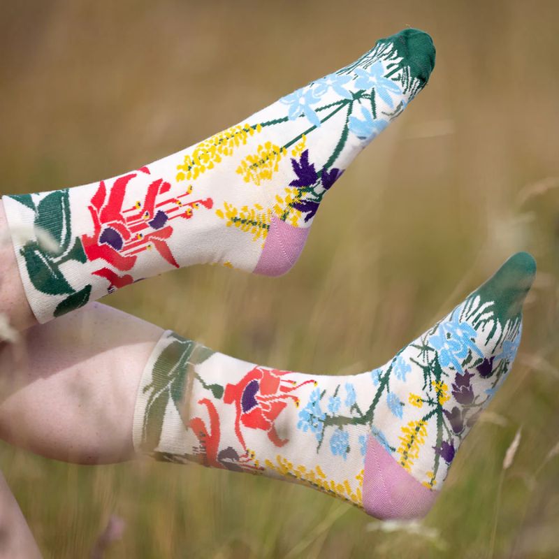 Wildflower Seeds, Nature Socks & Book Gift Box