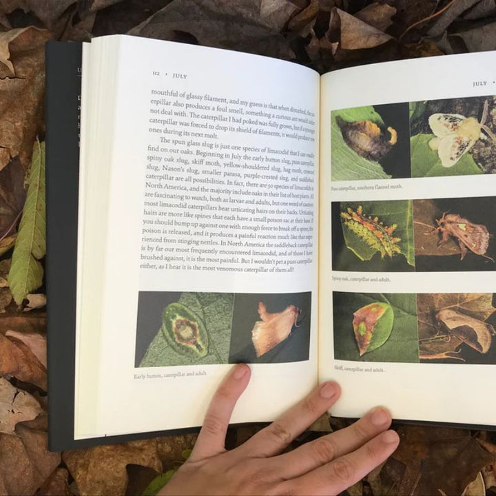 The Nature of Oaks by Douglas W. Tallamy