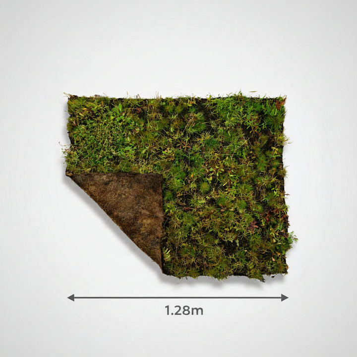 British Native General Purpose Wildflower Turf