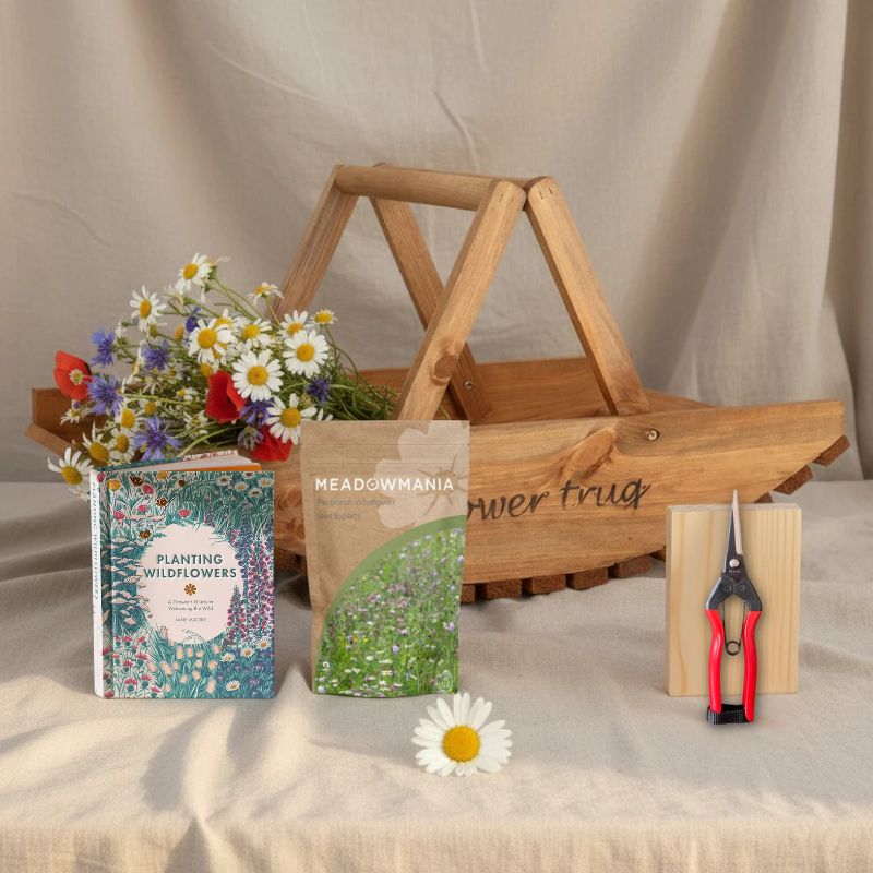 From Seed to Bouquet Bundle