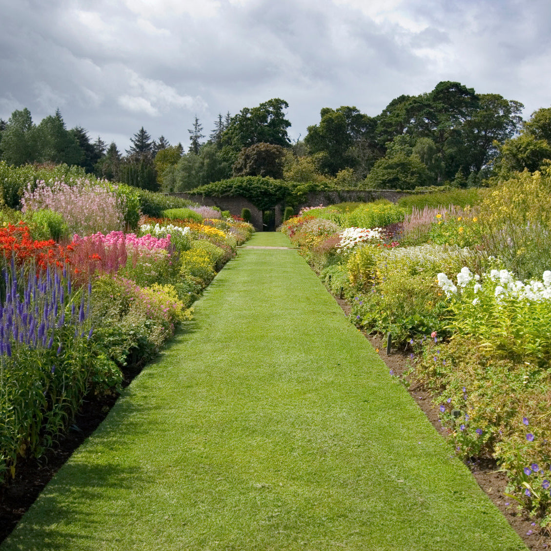 Grass & Lawn Seed