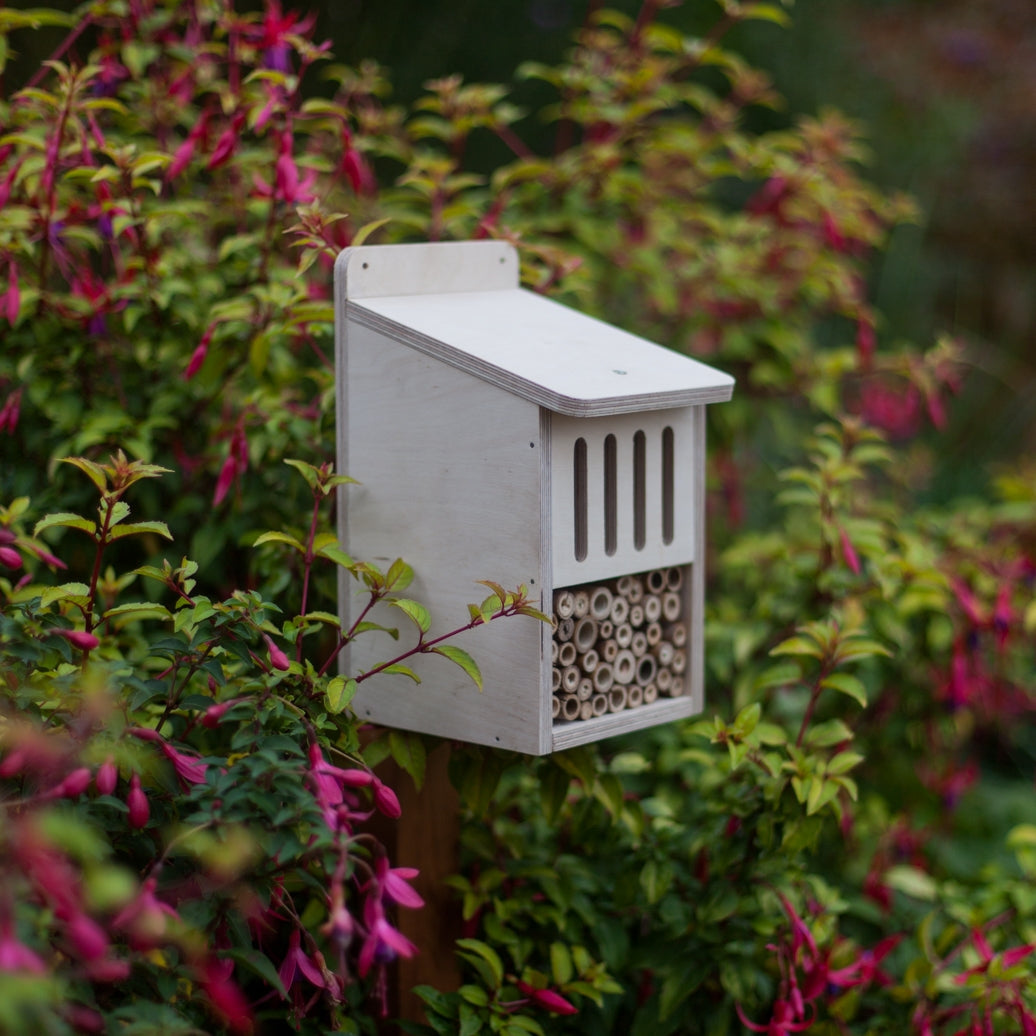 Bug Box kit