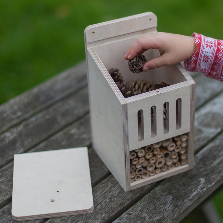 Bug Box kit