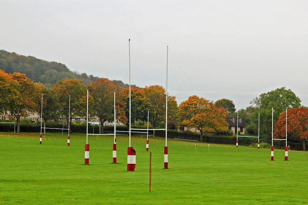 Amenity Lawn Grass Seed Mixture for Rugby Pitches – Meadowmania UK