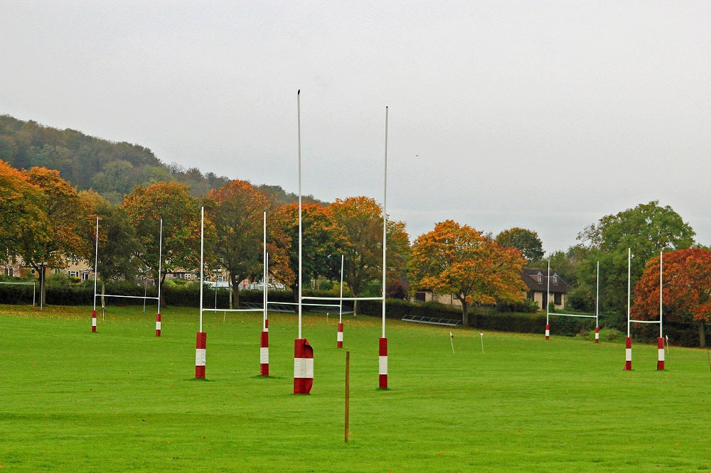 Grass Seed Amenity Mixture For Rugby Fields Pitches